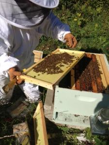 10814173_809276385803967_793399023_n