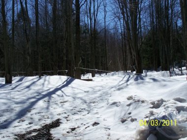 418670_490158831011818_2094169306_n