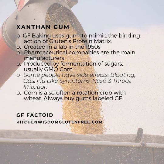 xanthin gum