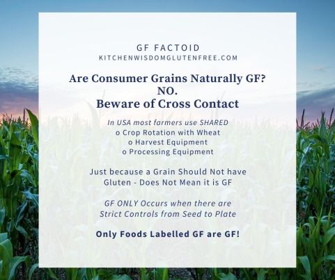 consumer grains not gf